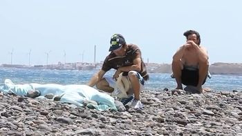 accidente mortal: una buceadora murio degollada por una tabla de windsurf accidente mortal: una buceadora murio degollada por una tabla de windsurf