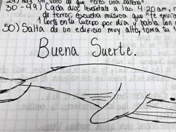 Conmoción en Entre Ríos: un joven murió tras jugar a la Ballena Azul