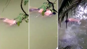 El cocodrilo llevó el cuerpo en la boca El cocodrilo llevó el cuerpo en la boca