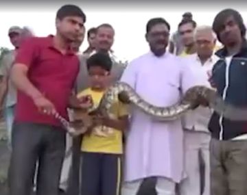 Mirá a la serpiente que no quería salir en la foto