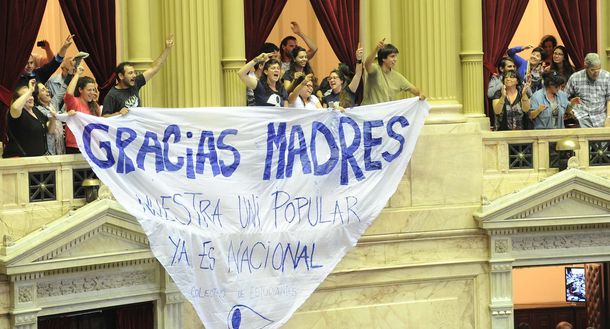 Diputados aprobó la estatización de la Universidad de las Madres