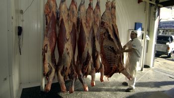 el campo rechaza la importacion de carne y reclama revisar la cadena de valor el campo rechaza la importacion de carne y reclama revisar la cadena de valor