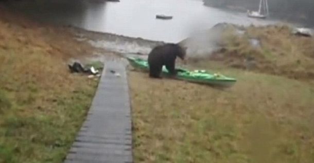 Llora y le pide por favor a un oso que no se coma su kayak