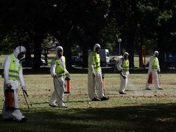 advierten por un pico maximo de casos de dengue para fines de marzo advierten por un pico maximo de casos de dengue para fines de marzo