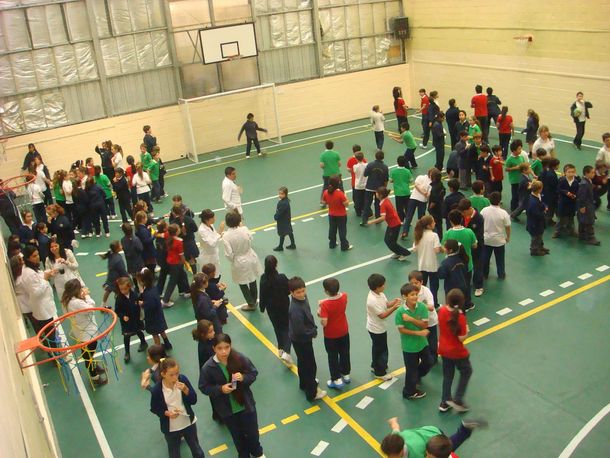 El aislamiento social oblig&oacute; a las escuelas a funcionar online y el regreso a clases presenciales ser&aacute; con un nuevo&nbsp;formato