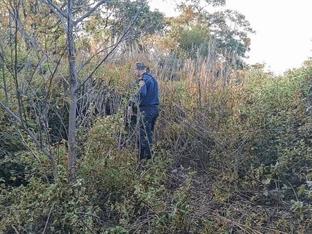 Con perros, caballos y barcos buscan a un policía retirado que desapareció el viernes en Entre Ríos