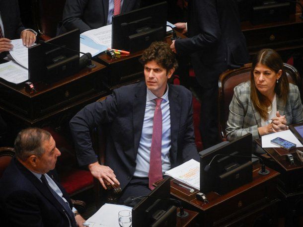 Diputado Martín Lousteau Diputado Martín Lousteau