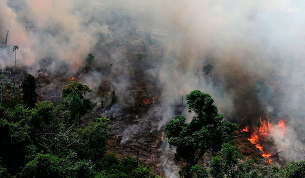 Documentos filtrados muestran que Bolsonaro tiene planes devastadores para el Amazonas