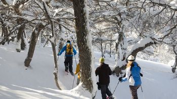 Hay tiempo para toda clase de actividades en la nieve Hay tiempo para toda clase de actividades en la nieve