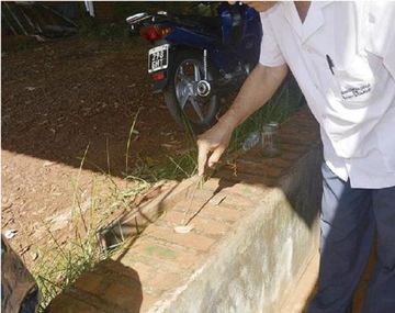 Conmoción: Misiones está en alerta por la aparición de un gusano venenoso