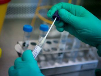 Un científico argentino asegura que el resfrío puede bloquear y ofrecer protección contra el coronavirus