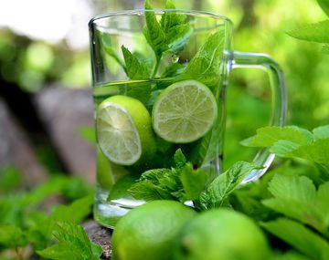 La planta para cuidar tu salud física y mental de manera natural