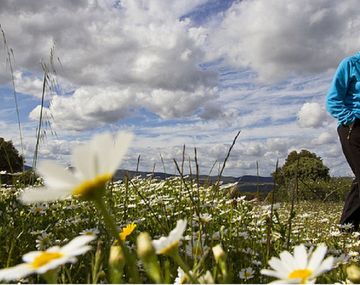 ¿Existe la depresión primaveral? Conocé las claves para superarla