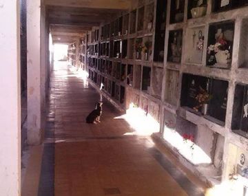 Facebook Andrea Soledad&nbsp;