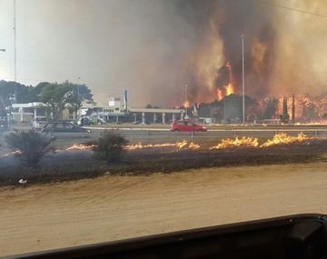 Voraz incendio en los bosques de Cariló y Valeria del Mar