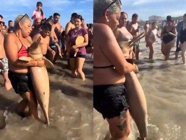 Mar de Ajó: apareció otro delfín muerto y varios turistas se sacaron fotos