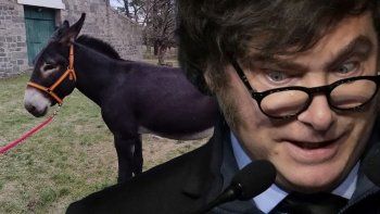 Javier Milei, contento con sus nuevos burros Javier Milei, contento con sus nuevos burros