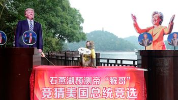 El mono le da la victoria a Trump El mono le da la victoria a Trump