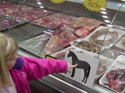 Carne de caballo