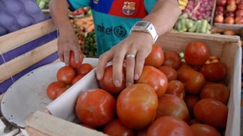 El tomate y su posible importación debido a un faltante fue el debate de la semana. El tomate y su posible importación debido a un faltante fue el debate de la semana.