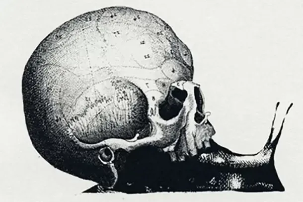 Qué ves: el test viral que revela cuál es tu trabajo soñado