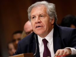 A casi un mes de pedir su anulación, la OEA dio su informe final sobre las elecciones en Bolivia