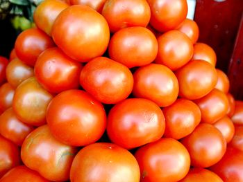 Afirman que el precio de los tomates ya bajó 50 por ciento