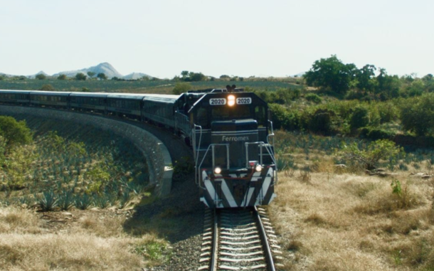 El tren de méxico que guarda el secreto líquido de la tierra: ¿Qué se esconde tras el agave azul?