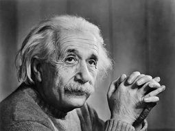 descubren que el cerebro de einstein era unico descubren que el cerebro de einstein era unico