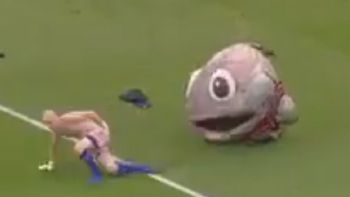 no busquen mas: este es el show de entretiempo mas bizarro de todos no busquen mas: este es el show de entretiempo mas bizarro de todos