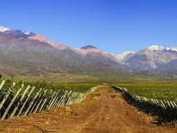 El pueblo escondido entre viñedos y montañas con paisajes increíbles El pueblo escondido entre viñedos y montañas con paisajes increíbles