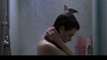 Twistos_Pajaro carpintero Twistos_Pajaro carpintero