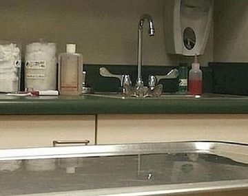 ¿Dónde está el gato? El nuevo viral 