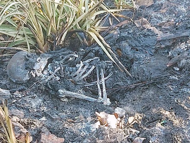 Encontraron un cuerpo quemado en el río e investigan si es un abogado desaparecido el año pasado