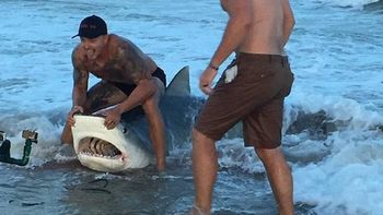 corajudos: le sacaron un anzuelo a un tiburon y lo devolvieron al mar corajudos: le sacaron un anzuelo a un tiburon y lo devolvieron al mar