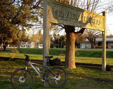 Misterio en Ignacio Correas: aparecieron más de 300 animales envenenados