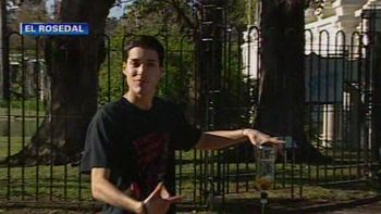 incidentes con jovenes ebrios en el dia de la primavera incidentes con jovenes ebrios en el dia de la primavera