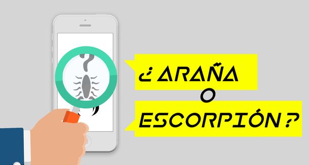  ¿Es araña o escorpión?: la app para identificar si es venenoso o no