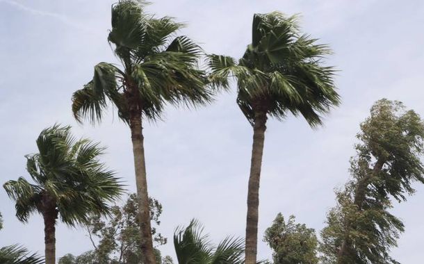 Fuertes vientos este viernes en el noroeste y norte de México.
