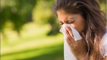 la otra cara de la primavera: ¿cuales son las enfermedades mas frecuentes? la otra cara de la primavera: ¿cuales son las enfermedades mas frecuentes?