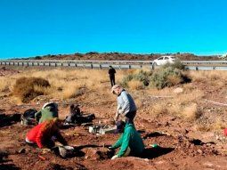 Encontraron un dinosaurio de 99 millones de años en Neuquén