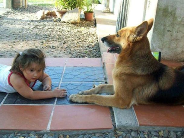 Gentileza: Diario Uno