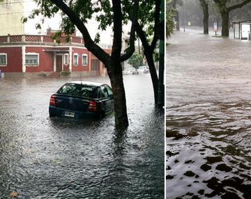 Inundaciones y caída de árboles en la Ciudad