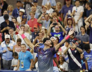El video con el que Federer se rindió a los pies de Del Potro
