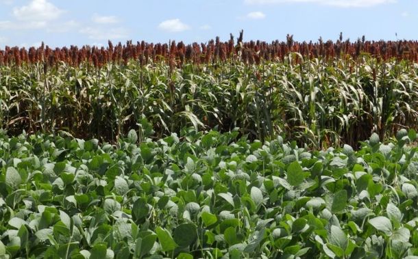 Pese al impacto de la sequía