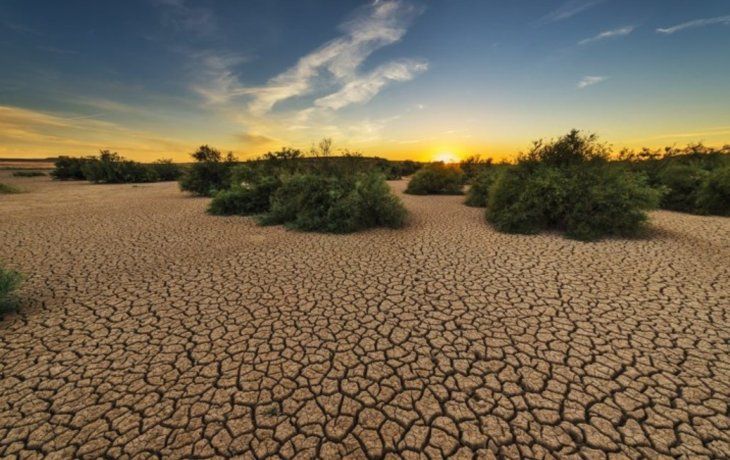 Por qué hoy es el Día Mundial de Lucha contra la Desertificación