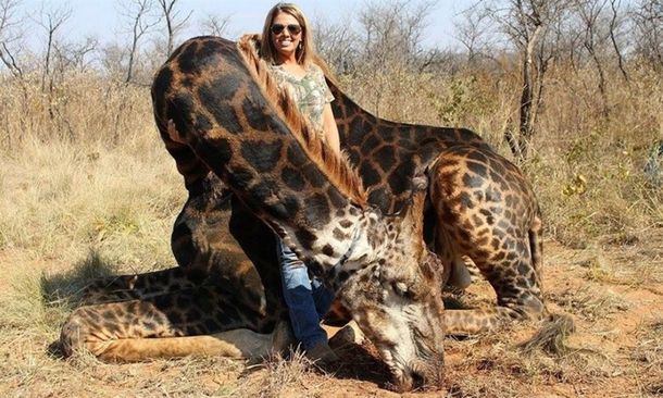 Cazó una jirafa negra y lo festejó en las redes sociales