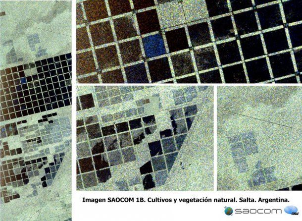Vegetación natural y cultivos en la provincia de Salta, vista por el SAOCOM 1B el 18 de septiembre