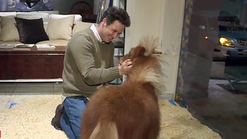 Sasha Fradusco, el dueño del local justificó la exhibición del animal Sasha Fradusco, el dueño del local justificó la exhibición del animal