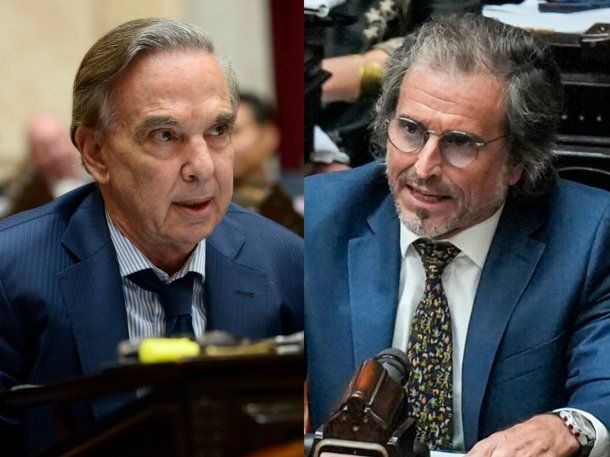 Fuerte cruce entre Pichetto y Bertie Benegas Lynch: Tiene que cuidar las palabras